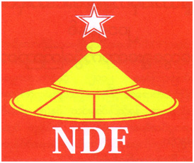 national-development-force-logo